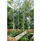 Tuteur spirale pour tomate - GARDELYS dans le catalogue Carrefour