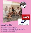 Plexiglas im ALDI SÜD Prospekt Acrylglas-Bild im aktuellen ALDI SÜD Prospekt für 4,99 €