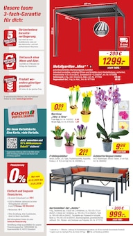 Blumen im toom Baumarkt Prospekt "Respekt, wer's selber macht." mit 12 Seiten (Mönchengladbach)