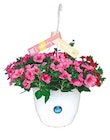 Blumenampel "Muttertag"  im aktuellen Netto mit dem Scottie Prospekt für 12,99 €