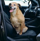 Housse de protection pour siège voiture - LaMaison.fr à Rennes Housse de protection pour siège voiture en promo chez LaMaison.fr Rennes à 8,95 €