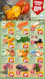 Pflanzen im REWE Prospekt in Schweinfurt Aktueller REWE Prospekt mit Pflanzen, "Dein Markt", Seite 9