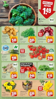 Kartoffeln im REWE Prospekt "Dein Markt" mit 16 Seiten (Nürnberg)