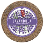Lavandula im Angebot bei REWE in Lünen Lavandula Angebote von Koch bei REWE Lünen für 2,99 €