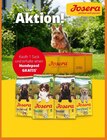 Hundefutter bei Profi Ruhl im Ochsenfurt Prospekt für 
