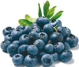 Heidelbeeren im aktuellen Netto mit dem Scottie Prospekt