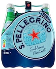 EAU MINÉRALE NATURELLE GAZEUSE - SAN PELLEGRINO en promo chez Netto EAU MINÉRALE NATURELLE GAZEUSE - SAN PELLEGRINO dans le catalogue Netto