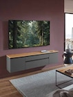 TV-Lowboard im Angebot bei Zurbrüggen in Bünde TV-Lowboard Angebote bei Zurbrüggen Bünde für 798,00 €