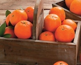 Promo Clémentine feuille à 1,79 € dans le catalogue Intermarché Contact à Camaret-sur-Aiguës