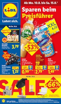 Volvic im aktuellen Lidl Prospekt (Magdeburg) Volvic im Lidl Prospekt "LIDL LOHNT SICH" mit 73 Seiten (Magdeburg)