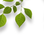 Bio Pasta Zoo von Naturgut im aktuellen Penny Prospekt