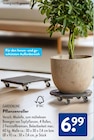 Pflanzenroller von GARDENLINE im aktuellen ALDI SÜD Prospekt