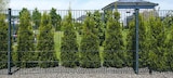 Angebot im Hagebaumarkt Bentwisch Prospekt Hagebaumarkt Bentwisch Prospekt mit im Angebot für 29,99 €