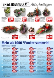 Farbe im E center Prospekt in Bruchsal Aktueller E center Prospekt mit Farbe, "Aktuelle Angebote", Seite 4