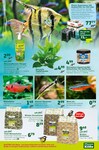 Aquariumzubehör Aquariumzubehör