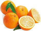 REWE Frankfurt - Orangen Angebot im Prospekt Orangen bei REWE im Frankfurt Prospekt für 1,99 €