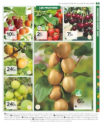 Offre Nain De Jardin dans le catalogue Carrefour du moment à la page 7