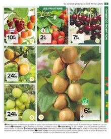 Promo Plante Aromatique dans le catalogue Carrefour du moment à la page 7