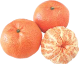 Mandarinen im V-Markt Prospekt Mandarinen von im aktuellen V-Markt Prospekt für 1,99 €