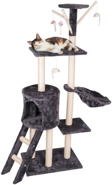 Katzenzubehör bei POCO Katzenzubehör für 29,99 € bei POCO im Prospekt "SSV - Spar-Preise ohne Ende"
