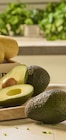 Avocats dans le catalogue Colruyt