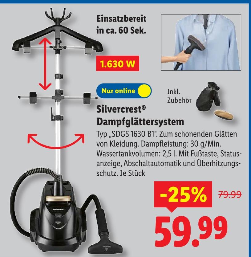 Dampfglättersystem