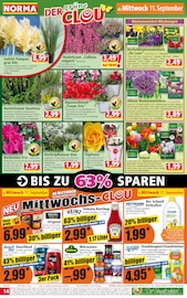 Aktueller Norma Prospekt mit Gartenpflanzen, "Mehr fürs Geld", Seite 14