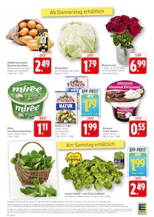 Pflanzen im EDEKA Prospekt "Aktuelle Angebote" mit 12 Seiten (Heidelberg)