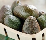 Promo Avocat Affiné à 2,25 € dans le catalogue Intermarché Contact à Hauterives