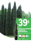 Cyprès de Provence 'Cupressus Sempervirens' - E.Leclerc à Clichy Cyprès de Provence 'Cupressus Sempervirens' en promo chez E.Leclerc Clichy à 39,00 €