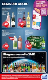 Aktueller Getränke Hoffmann Prospekt mit Ramazzotti, "Aktuelle Angebote", Seite 8