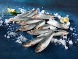 Promo SARDINES à 4,99 € dans le catalogue Auchan Supermarché à Ivry-sur-Seine