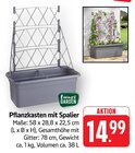 Pflanzkasten mit Spalier Angebote von Living & Garden bei E center Schwäbisch Gmünd für 14,99 €