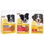 SUR TOUTES LES CROQUETTES POUR CHIENS - CARREFOUR COMPANINO VITALIVE en promo chez Carrefour Market Roubaix