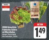 Aktuelle Salat Angebote bei EDEKA in Nürnberg Aktuelles Fränkisches Salatrio mit Wurzelballen Angebot bei EDEKA in Nürnberg ab 1,49 €