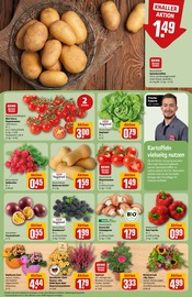 Aktueller REWE Prospekt mit Dekoration, "Dein Markt", Seite 9