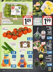 Aktueller EDEKA Prospekt mit Pflanzen, "Aktuelle Angebote", Seite 5