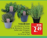 Aktuelles Freilandkräuter Angebot bei Marktkauf in Fürth ab 2,49 €