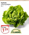 Aktuelles Kopfsalat Angebot bei GLOBUS in Duisburg ab 1,29 €