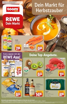 Aktueller REWE Prospekt