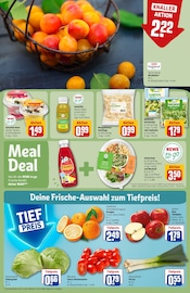 Tomaten im REWE Prospekt in Neuss Aktueller REWE Prospekt mit Tomaten, "Dein Markt", Seite 8