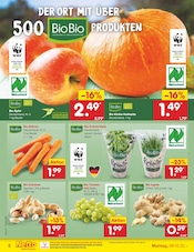 Aktueller Netto Marken-Discount Prospekt mit Kürbis, "Aktuelle Angebote", Seite 6
