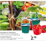 Gemüsepflanzen Meisterklasse von Plantiflor für 2,79 € bei Hellweg im Angebot Gemüsepflanzen Meisterklasse von Plantiflor im aktuellen Hellweg Prospekt