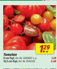 Aktuelles Tomaten Angebot bei toom Baumarkt in Aachen ab 1,29 €