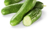 Minigurken im Angebot bei Netto Marken-Discount in Borken Minigurken Angebote bei Netto Marken-Discount Borken für 1,49 €