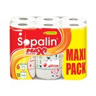 Essuie-tout "Maxi Pack" - SOPALIN en promo chez Carrefour Essuie-tout "Maxi Pack" - SOPALIN dans le catalogue Carrefour