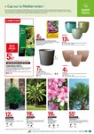 Plantes Plantes