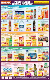 Promos Red Bull dans le catalogue "Votre Discounter Régional" de Norma Red Bull en promo dans le catalogue Norma à la page 11