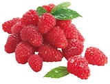 Himbeeren von  im aktuellen REWE Prospekt für 1,79 €