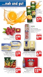 EDEKA Prospekt mit 10 Seiten (Zaberfeld)